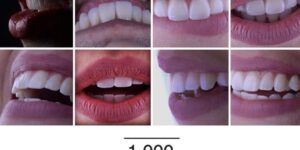 Prime Odontologia Google